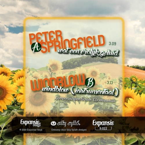 9.022 - Peter Springfield - Wat een vrolijk geluid / Windblow instr. (Back)