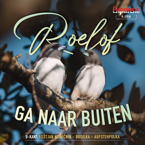 9.098 - Roelof /  Bostjan konecnik - Ga Naar Buiten - Budilka-Aufstehpolka (Front)